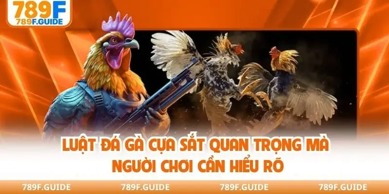 Luật đá gà cựa sắt quan trọng mà người chơi cần hiểu rõ