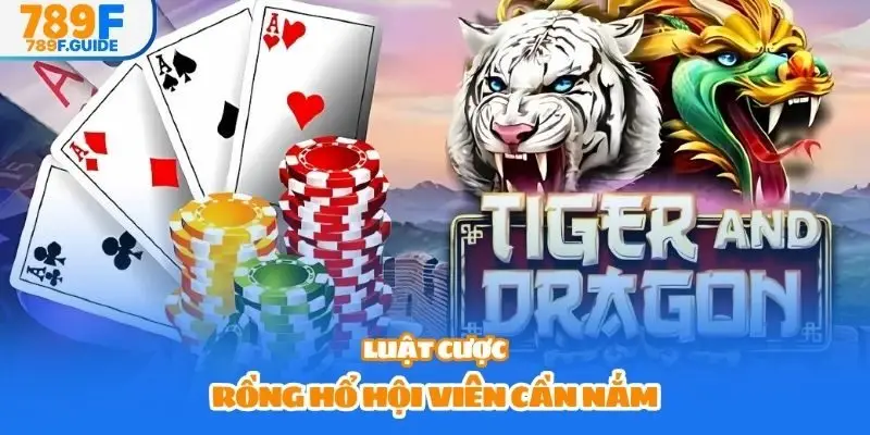 Luật cược Rồng Hổ hội viên cần nắm